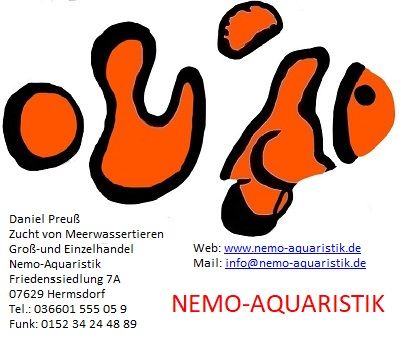www.nemo-aquaristik.de