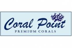 Coral Point