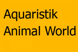 Aquaristik & Animal World