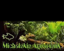 Michalski Aquaristik
