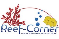 Reef-Corner